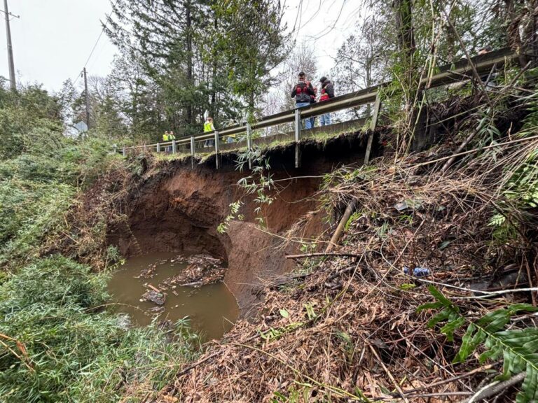 Socavón bajo la Segunda Faja junto al puente Candelaria, en el kilómetro 6 de la ruta entre Pucón y Villarrica